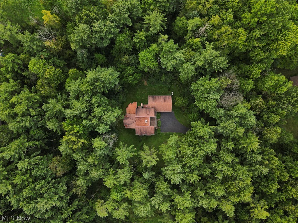 11360 Pine Acres Lane Chesterland OH 44026