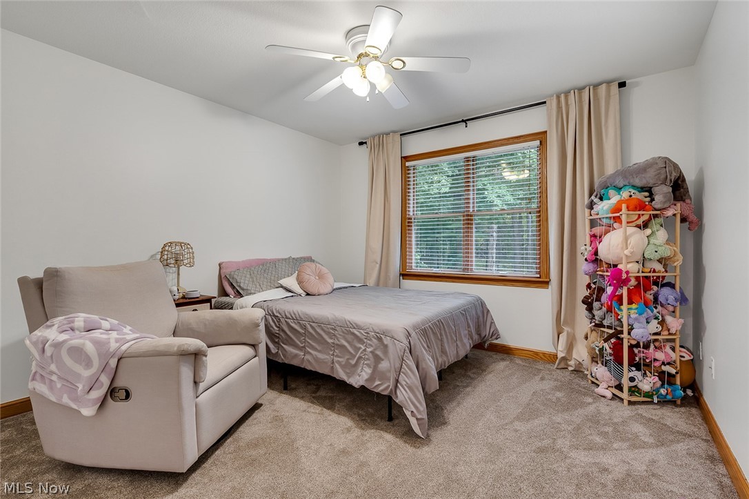 2037 Bishop Woods Court Poland OH 44514