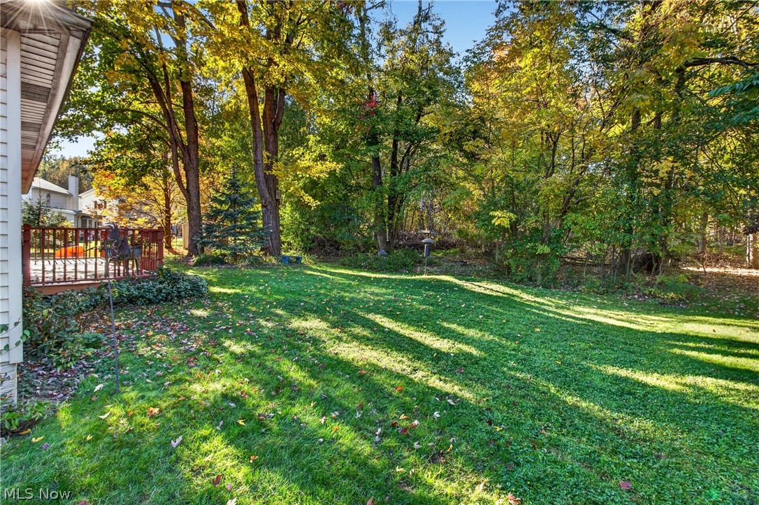 4718 Queen Anne Avenue Lorain OH 44052