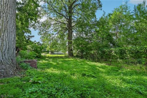 3556 W 54th Street Cleveland OH 44102
