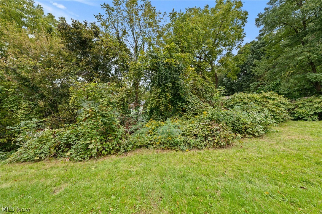 1117 Smithfarm Akron OH 44305