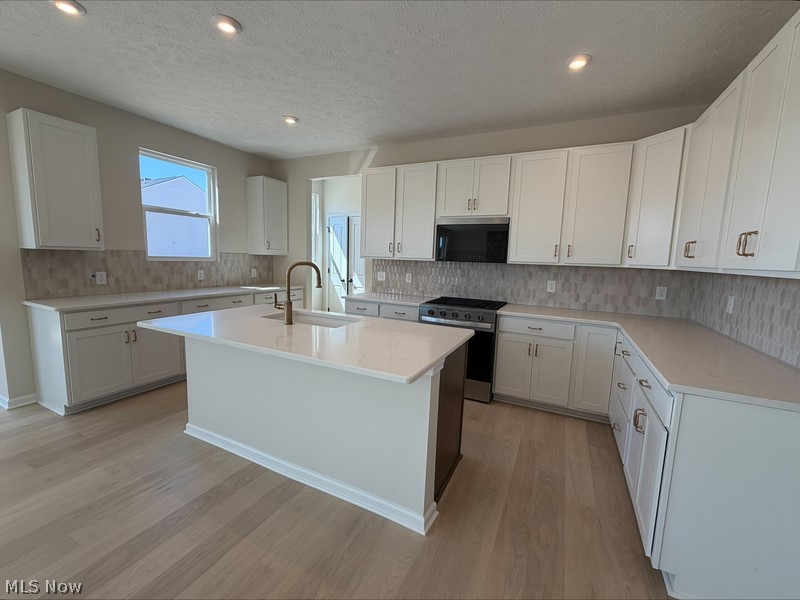35927 Baldauf Crossing North Ridgeville OH 44039