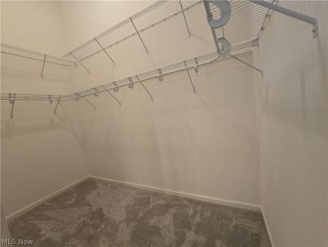 5345 Lake Forest Reserve Lane Brunswick Hills OH 44212