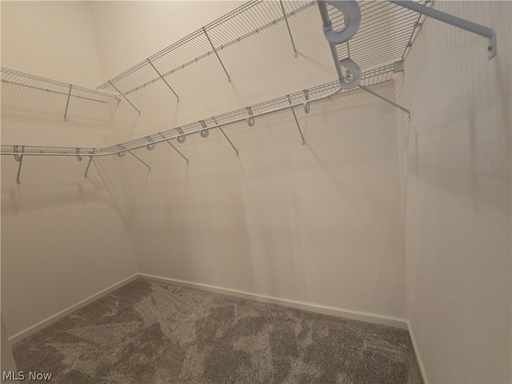 5345 Lake Forest Reserve Lane Brunswick Hills OH 44212