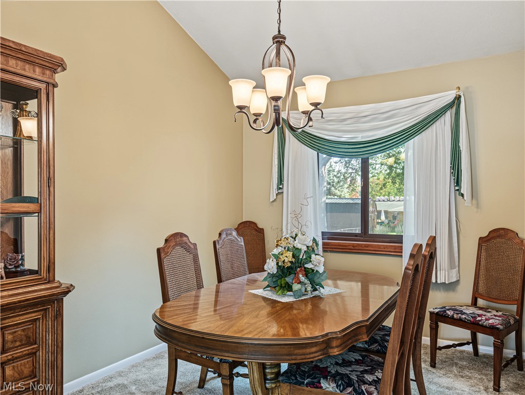 6187 Carlyle Drive Seven Hills OH 44131