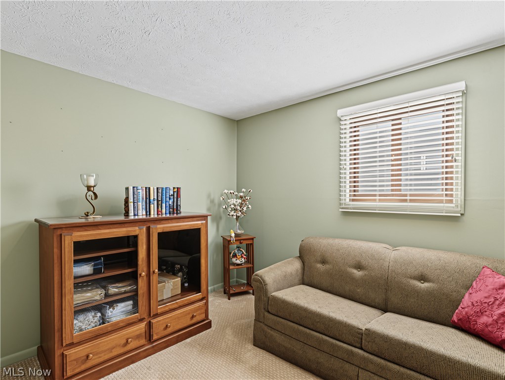6187 Carlyle Drive Seven Hills OH 44131