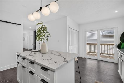 753 Brayton Avenue Cleveland OH 44113