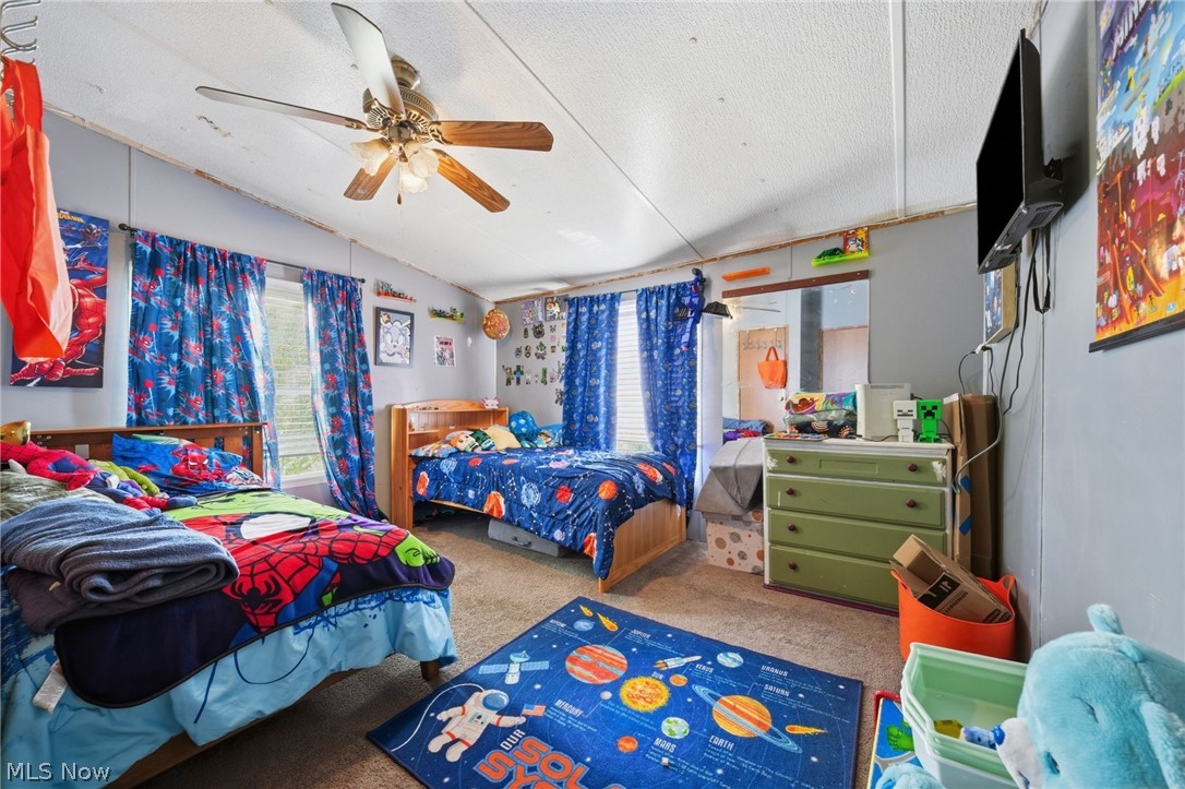4534 Lake Road E Geneva OH 44041