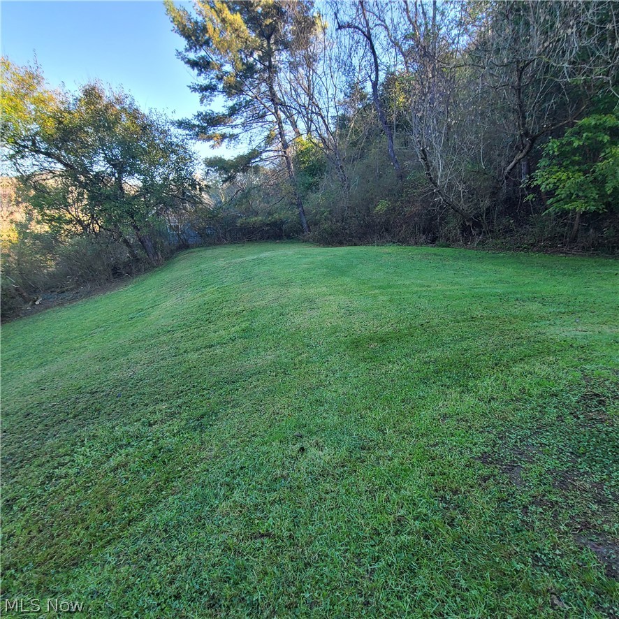 668 Dolezal Road Dillonvale OH 43917