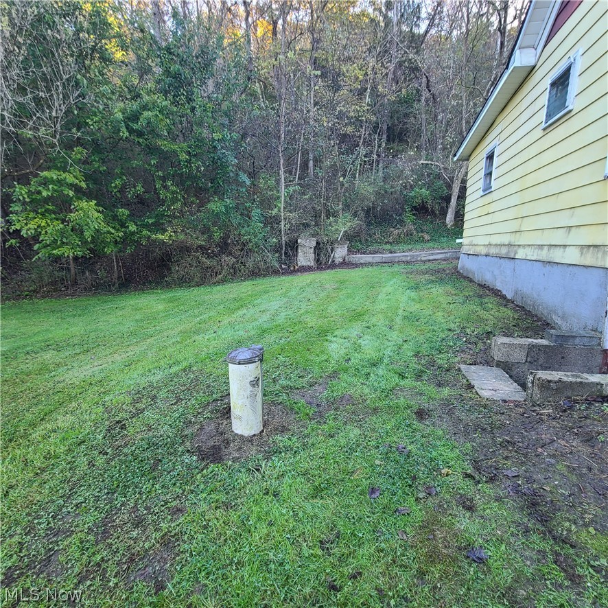668 Dolezal Road Dillonvale OH 43917