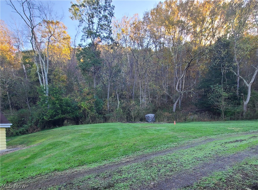 668 Dolezal Road Dillonvale OH 43917