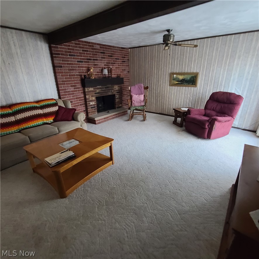 668 Dolezal Road Dillonvale OH 43917