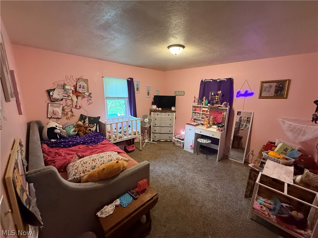 16575 Township Road 287 Conesville OH 43811