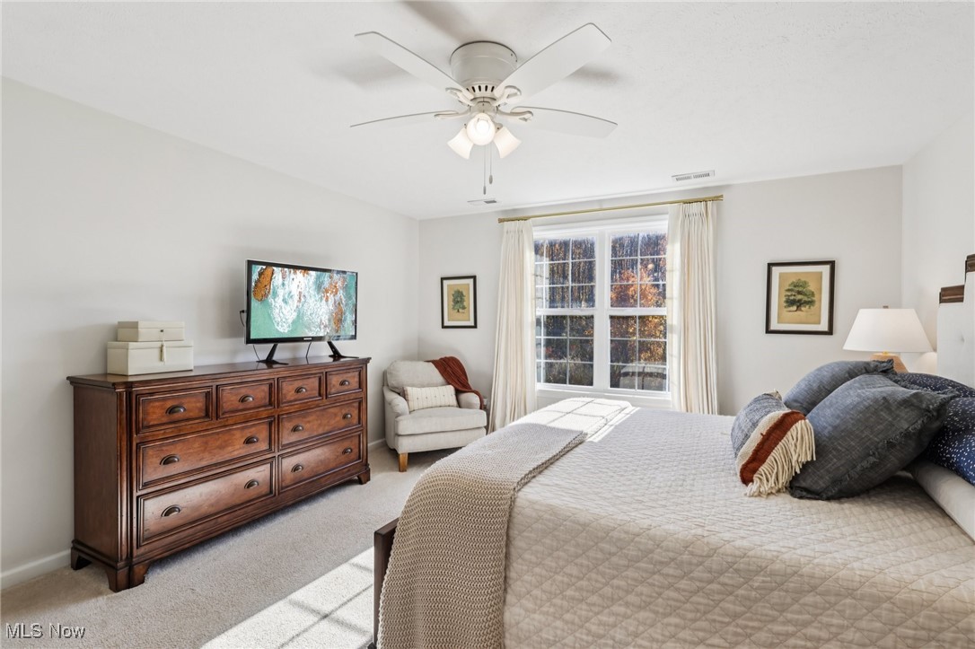 3110 Blue Jaye Lane Twinsburg OH 44087