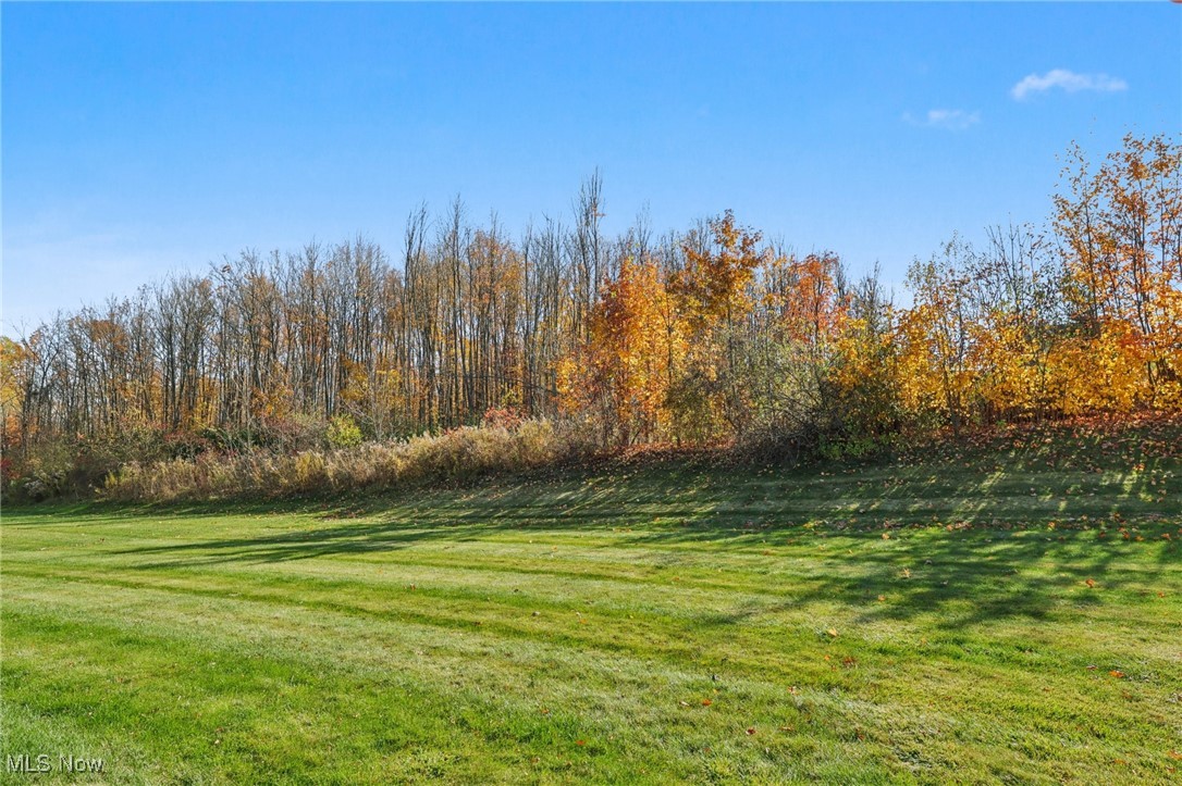 3110 Blue Jaye Lane Twinsburg OH 44087