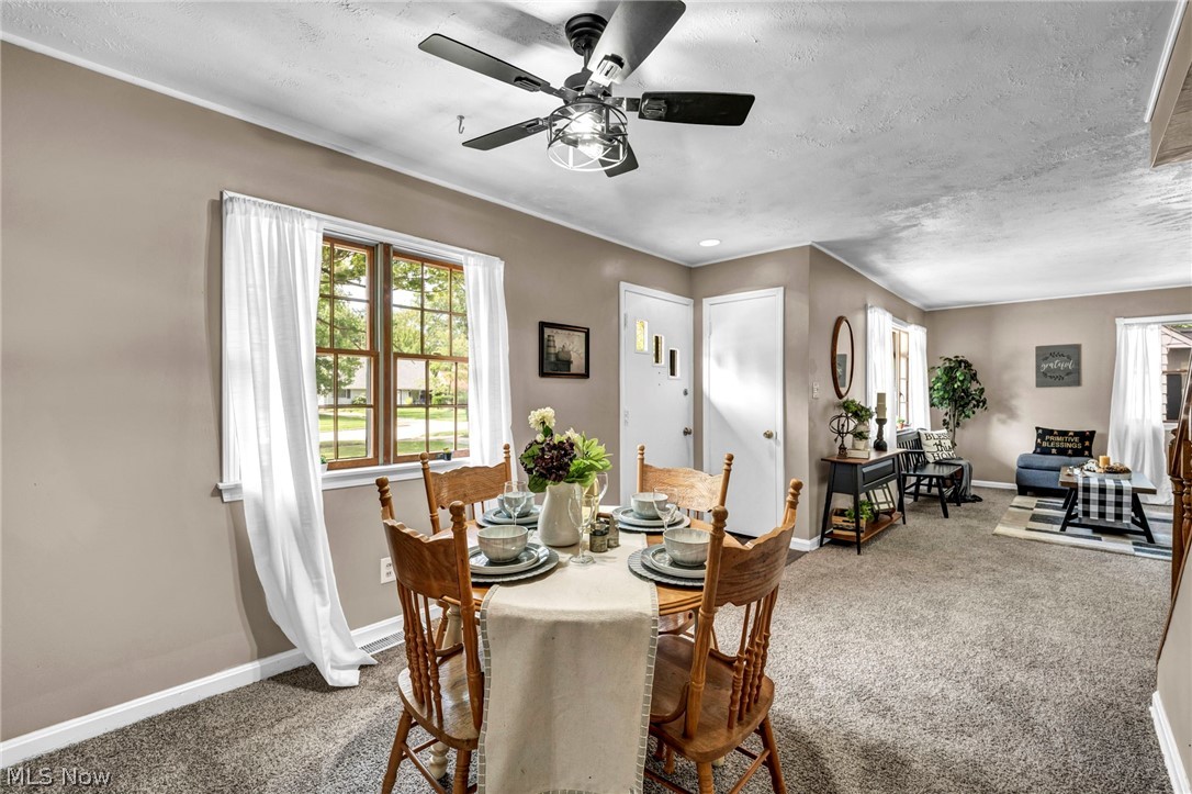 25595 Chatworth Drive Euclid OH 44117