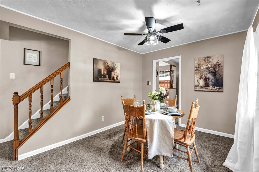 25595 Chatworth Drive Euclid OH 44117