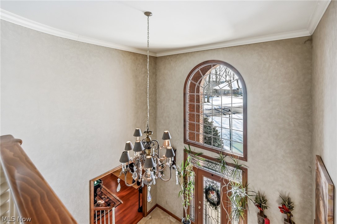 21 Timber Run Court Canfield OH 44406