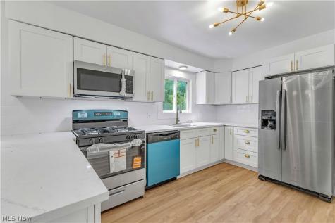 2233 E 93rd Street Cleveland OH 44106