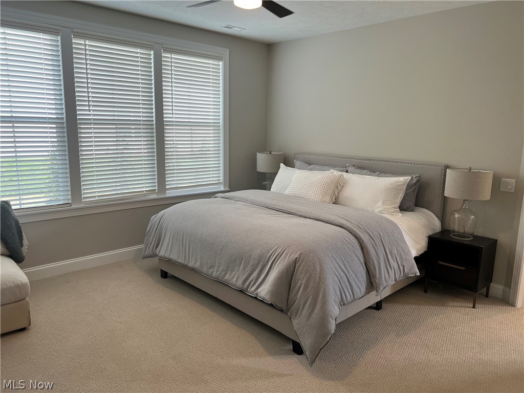 913 Arthur Trail Aurora OH 44202