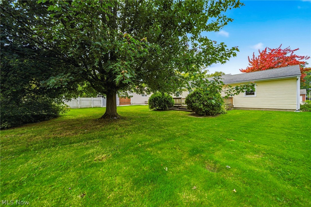1016 Treelane Drive Ashtabula OH 44004