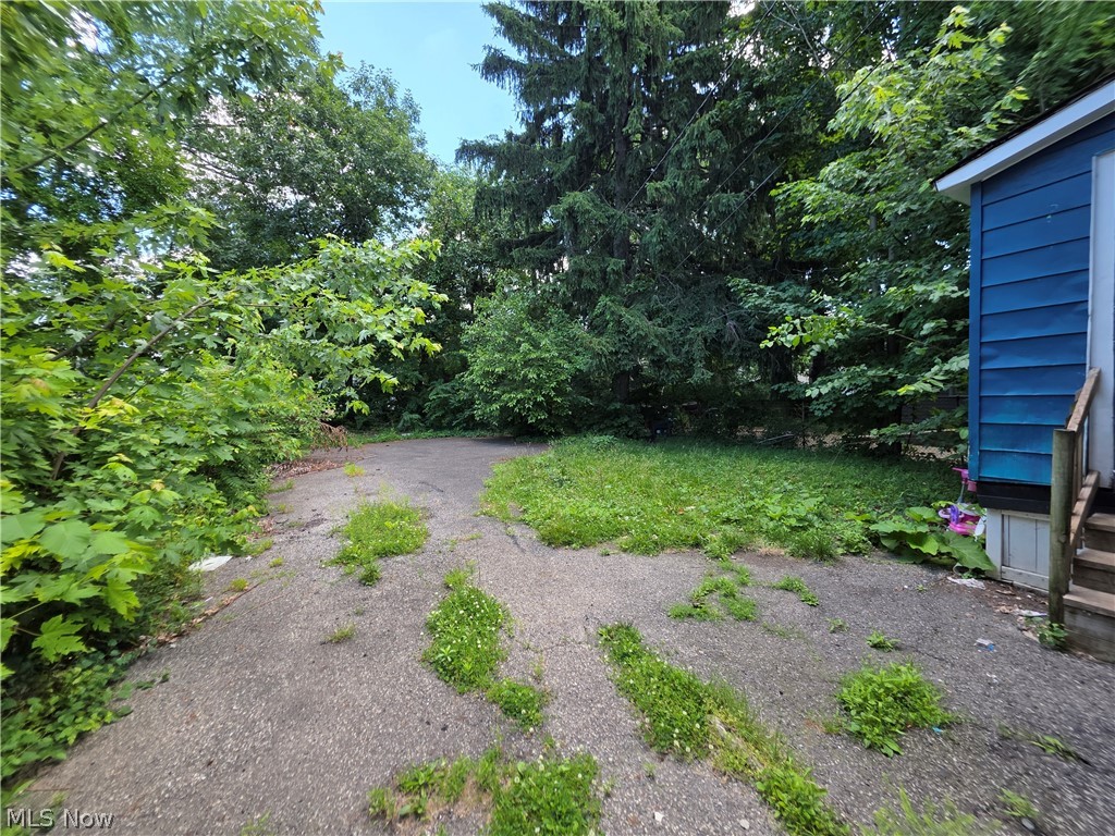 4289 E 136th Street Cleveland OH 44105