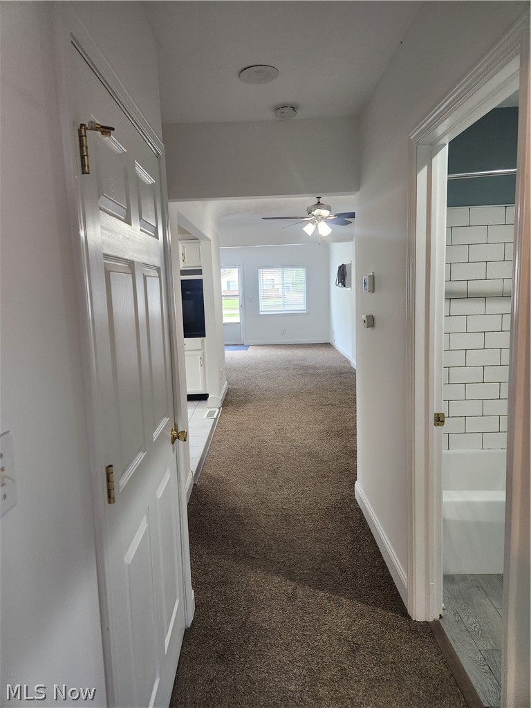 20680 Belvidere Avenue Fairview Park OH 44126