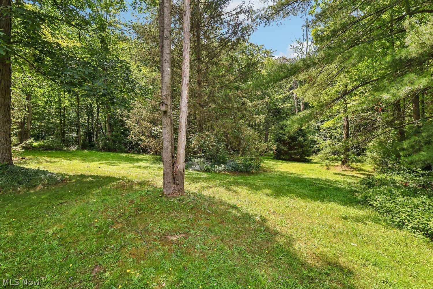 8355 Cedar Road Chesterland OH 44026