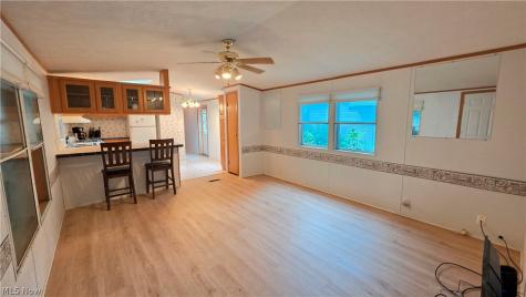 100 Maplegrove Lane Mentor OH 44060