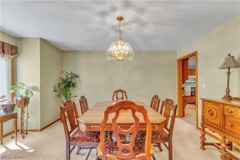 1011 Cedarwood Lane Medina OH 44256