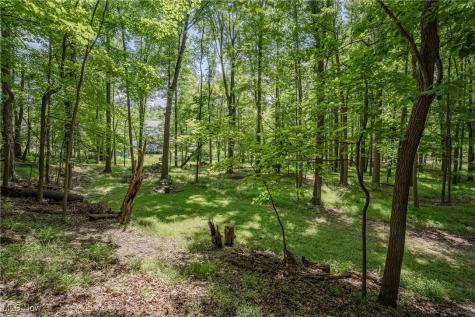 7538 Ridge Road Parma OH 44129