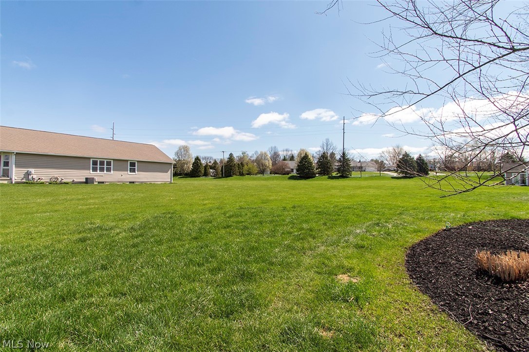 2959 Island Creek Drive Medina OH 44256