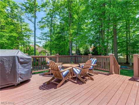 433 Castle Pines Drive Fairlawn OH 44333