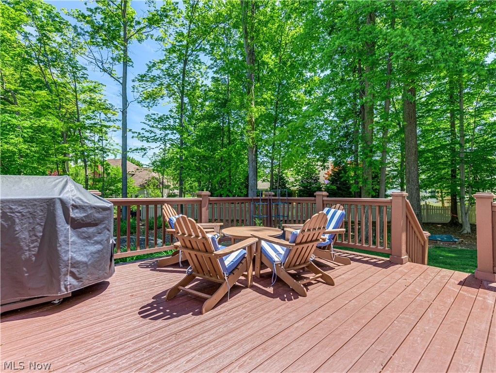 433 Castle Pines Drive Fairlawn OH 44333