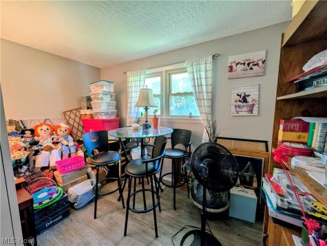 4885 Robinwood Drive Mentor OH 44060