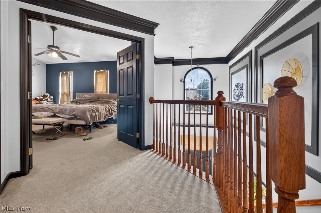 6520 Buck Horn Boulevard Lorain OH 44053