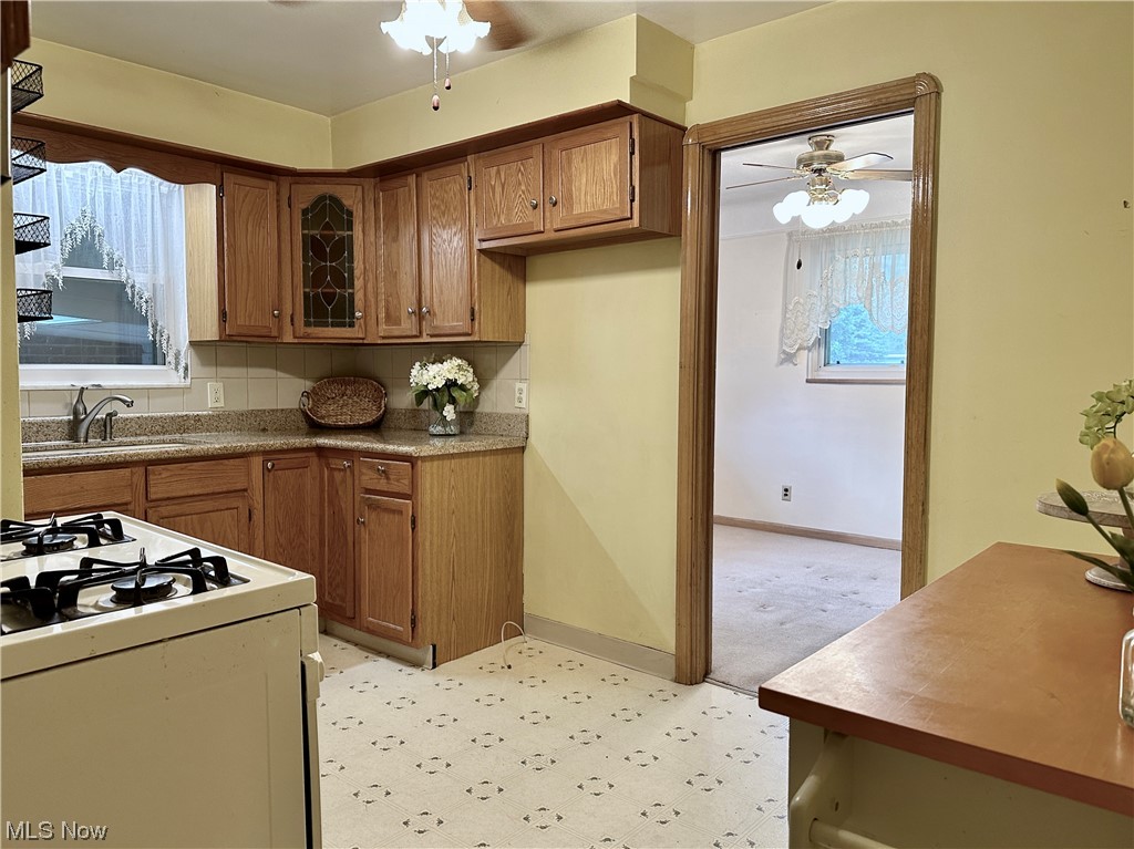 19102 Puritas Avenue Cleveland OH 44135