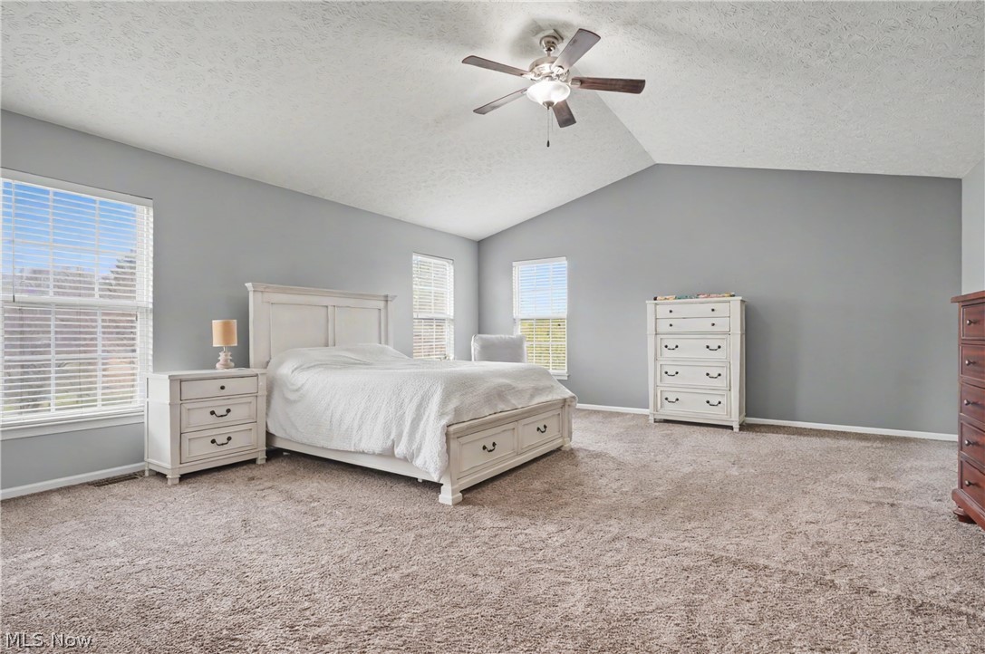 2812 Sweet Flag Way Stow OH 44224