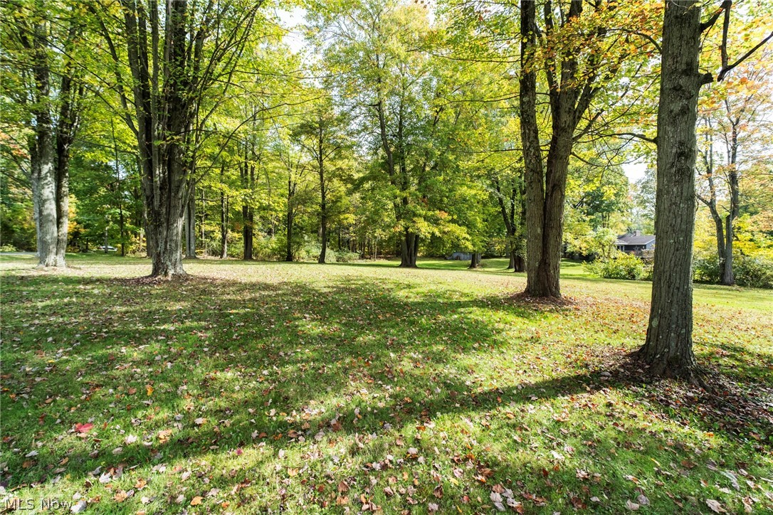 445 Park Avenue Poland OH 44514