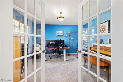 9961 Colmanara Drive Aurora OH 44202