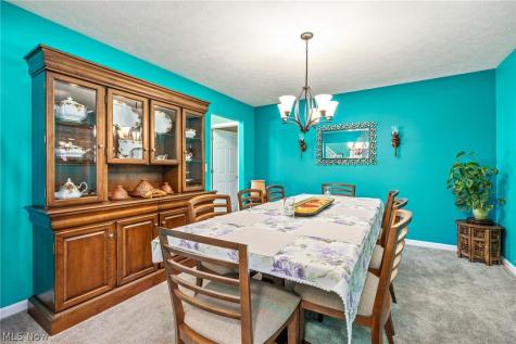 9961 Colmanara Drive Aurora OH 44202