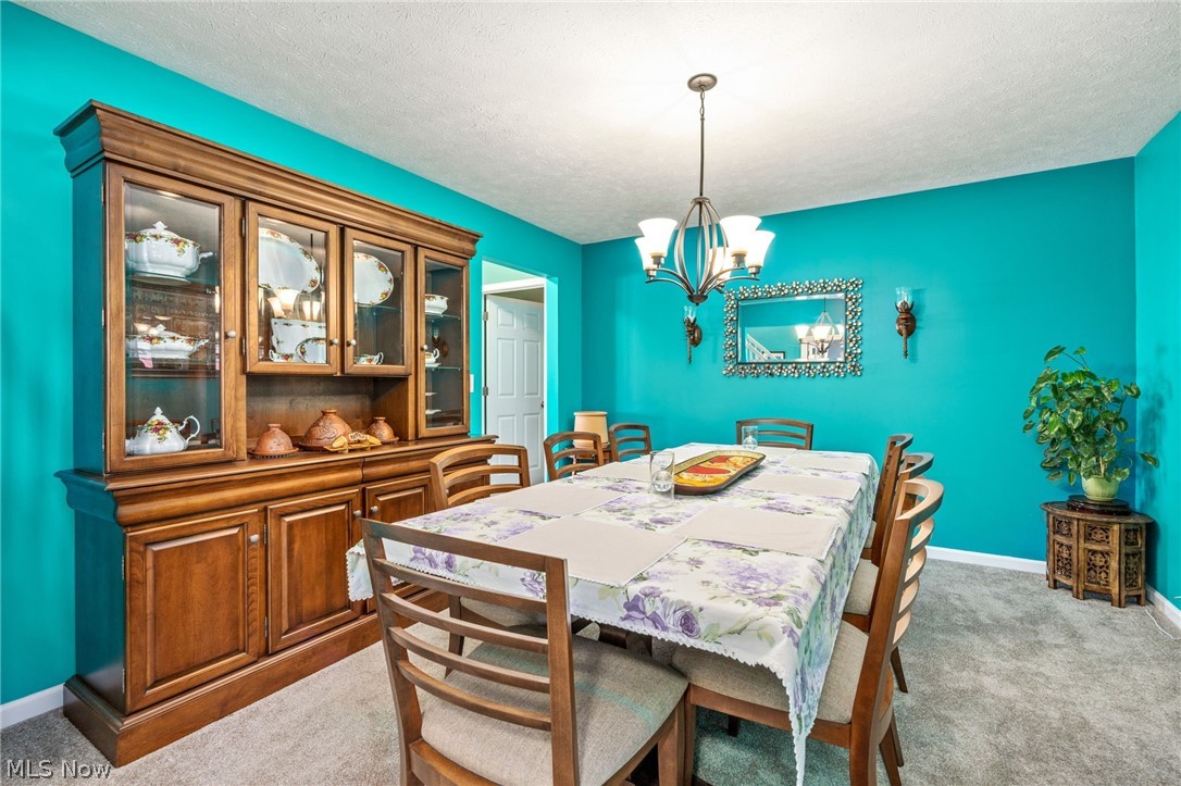 9961 Colmanara Drive Aurora OH 44202