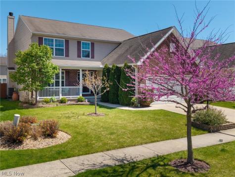 9961 Colmanara Drive Aurora OH 44202