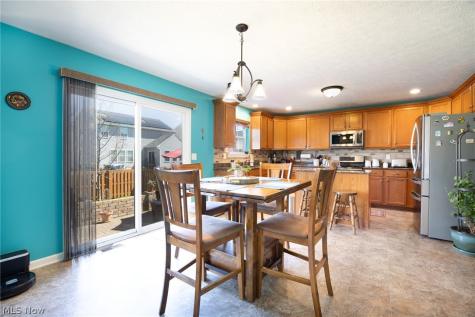 9961 Colmanara Drive Aurora OH 44202