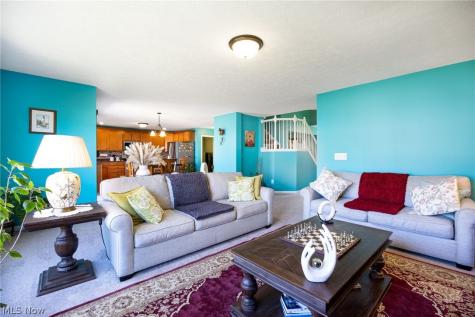 9961 Colmanara Drive Aurora OH 44202