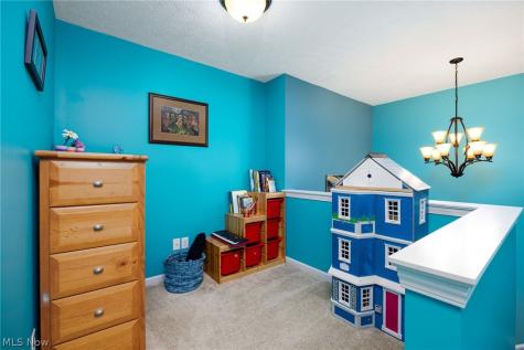 9961 Colmanara Drive Aurora OH 44202
