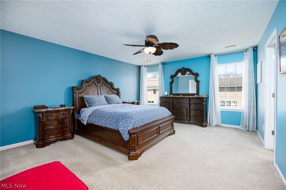 9961 Colmanara Drive Aurora OH 44202