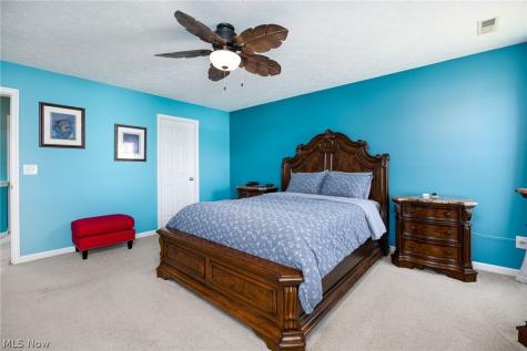 9961 Colmanara Drive Aurora OH 44202
