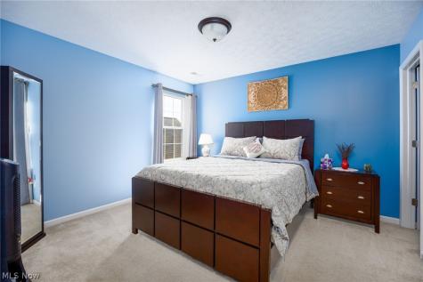 9961 Colmanara Drive Aurora OH 44202