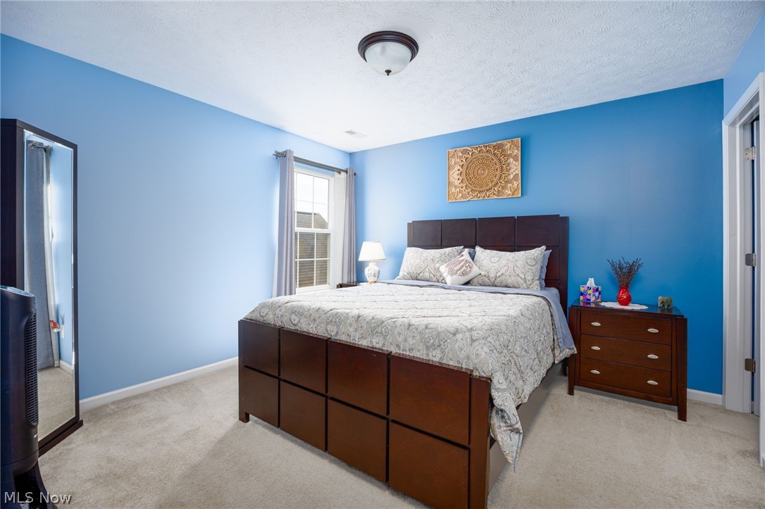 9961 Colmanara Drive Aurora OH 44202